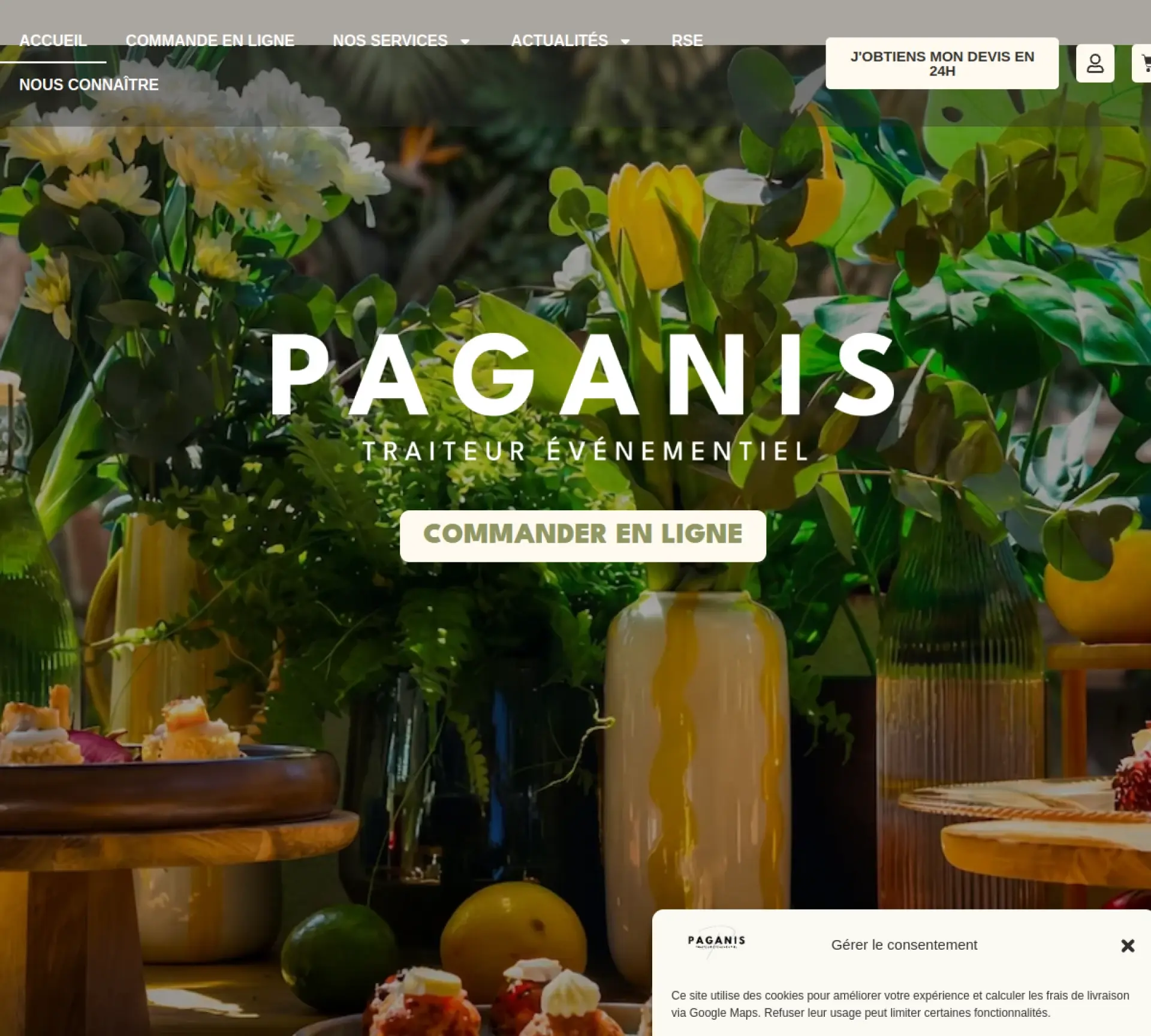 Capture de la page d'accueil du site Les Paganis