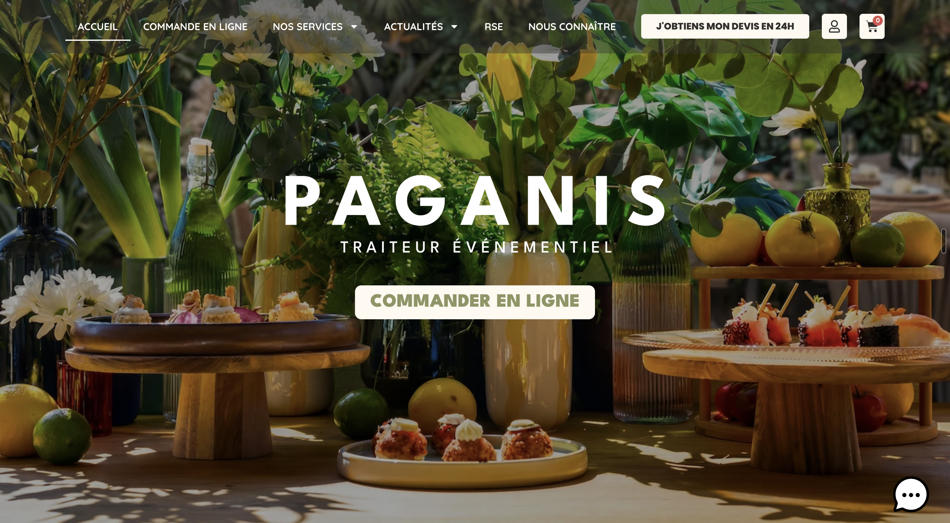 Capture de la page d'accueil du site Les Paganis